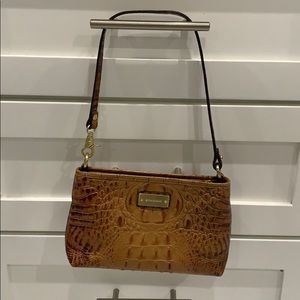 Small Brahmin Purse